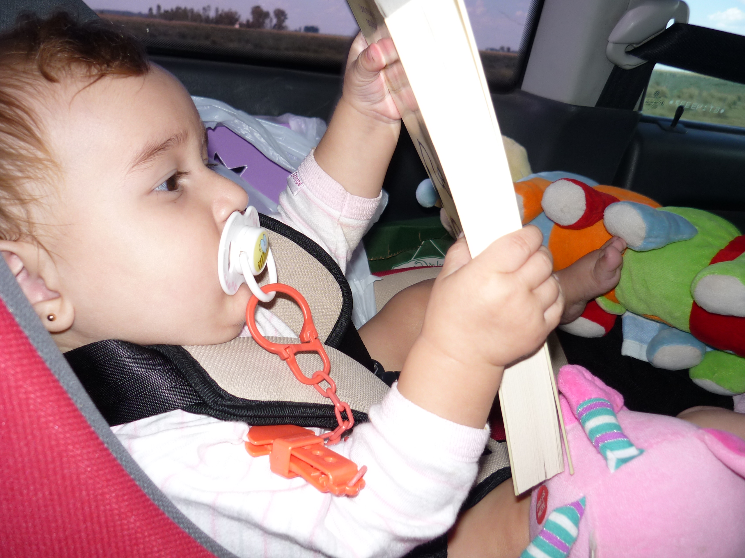 fotos/2011 - Los Reartes/P1010893.JPG